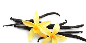 Vanilla