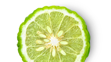 Lime and Basil